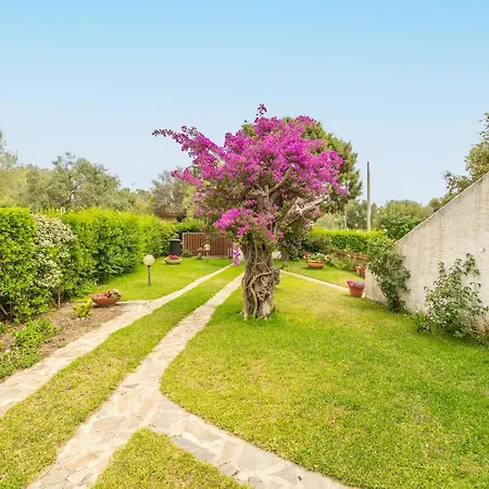 Bados Costa Smeralda 200mt Dal Mare Appartement *